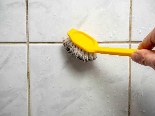 Best Fast Mold Removal  in Neenah, WI